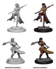 D&D Nolzur's Marvelous Unpainted Minis: W1 Female Human Monk